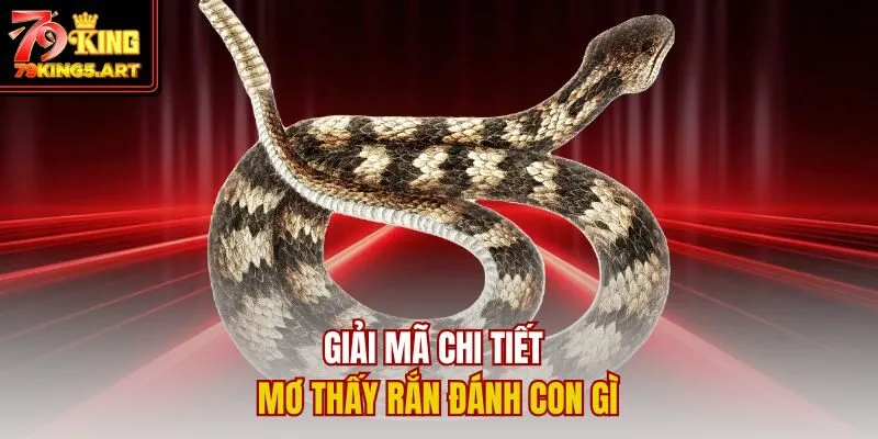 Mơ Thấy Rắn Đánh Con Gì? Ý Nghĩa Và Con Số May Mắn Nhất